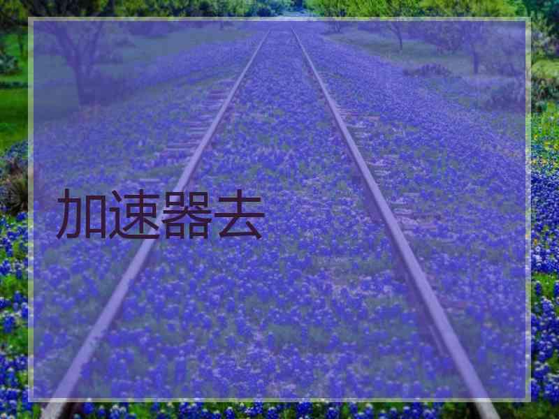 加速器去 加速器去
